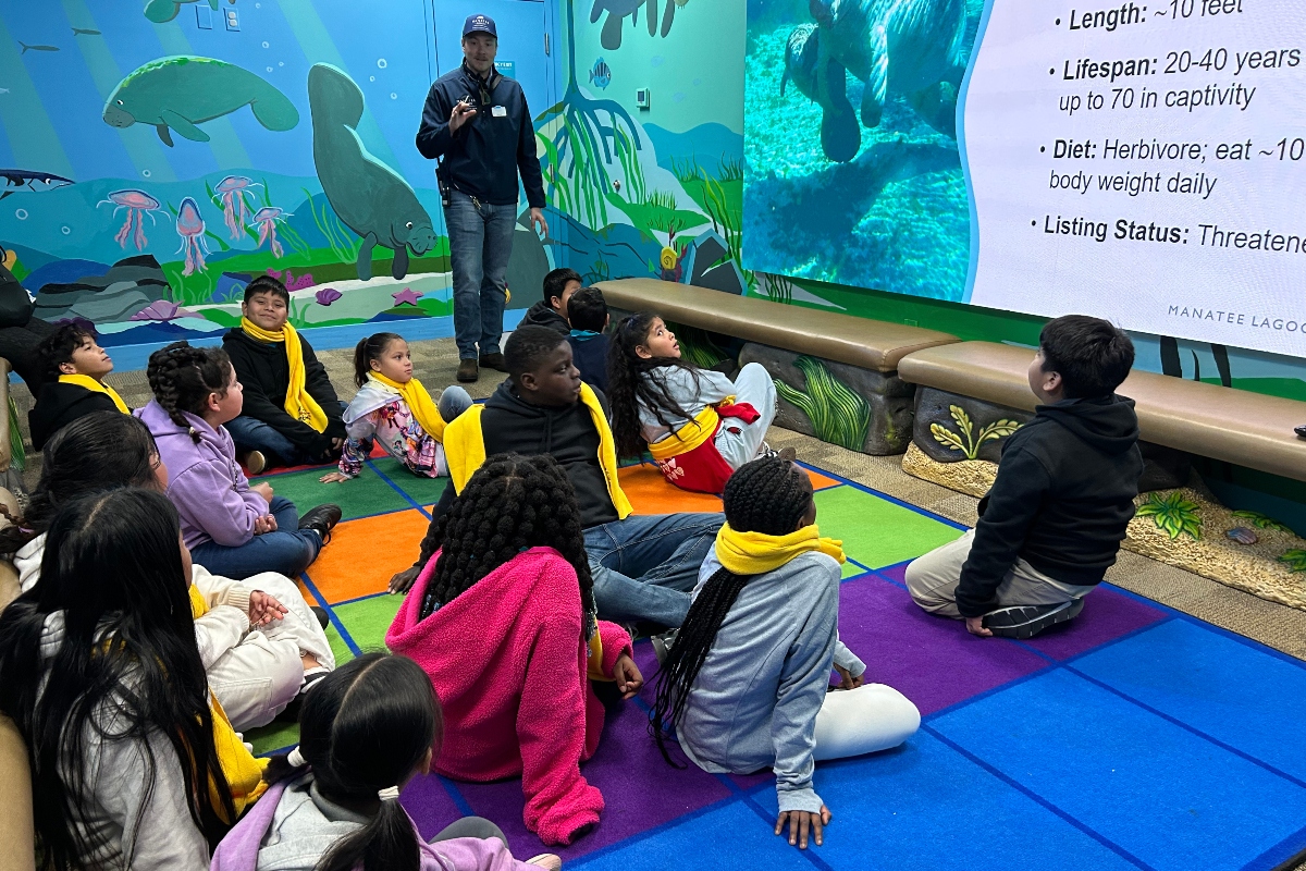 PBMA charter school students sitting on the floor of a colorful classroom listening to a lecture on marine science